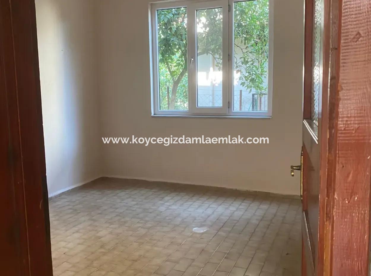 Wohnung Zu Vermieten 3 1