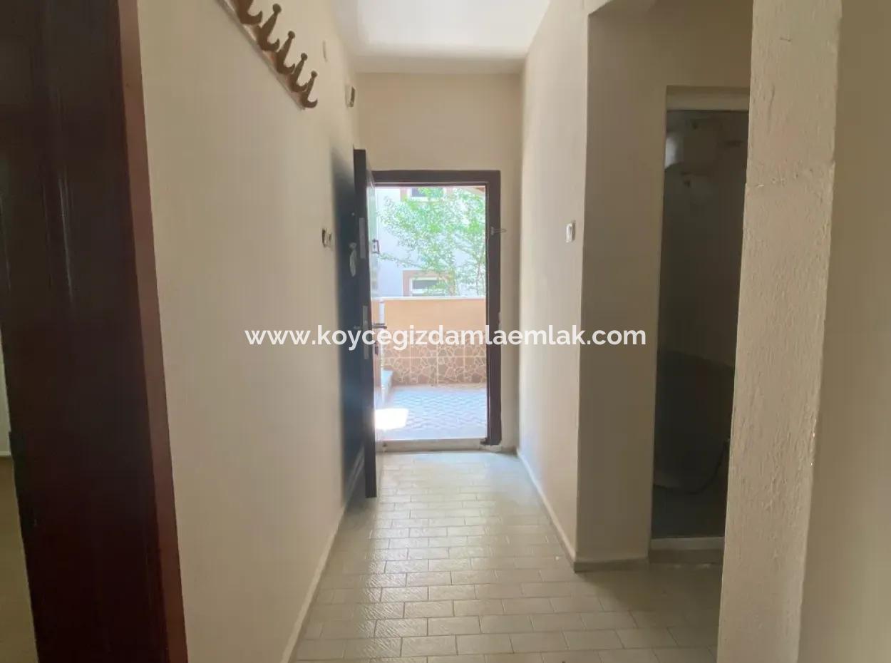 Wohnung Zu Vermieten 3 1