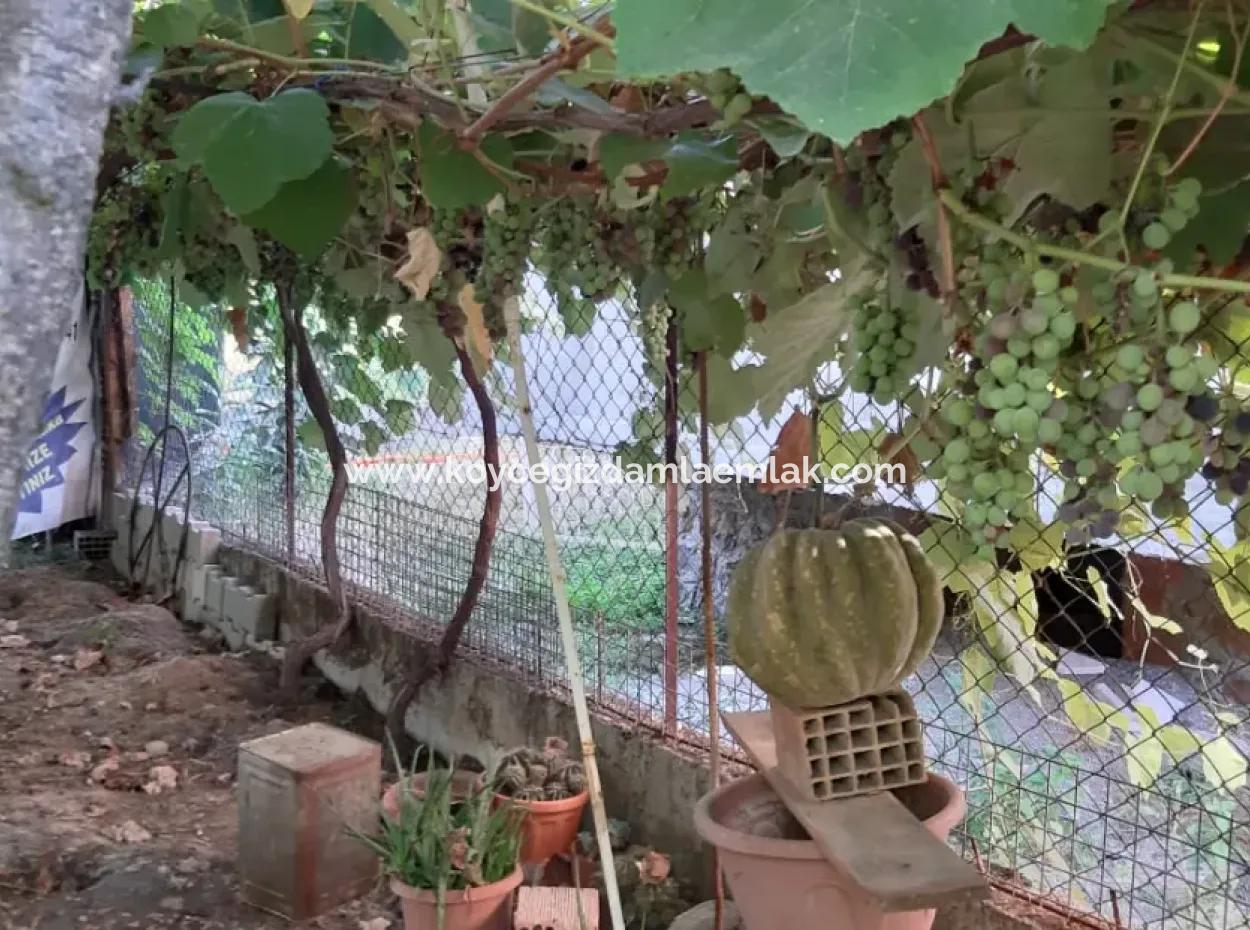 4 1 Triplex Freistehende Villa Zum Verkauf