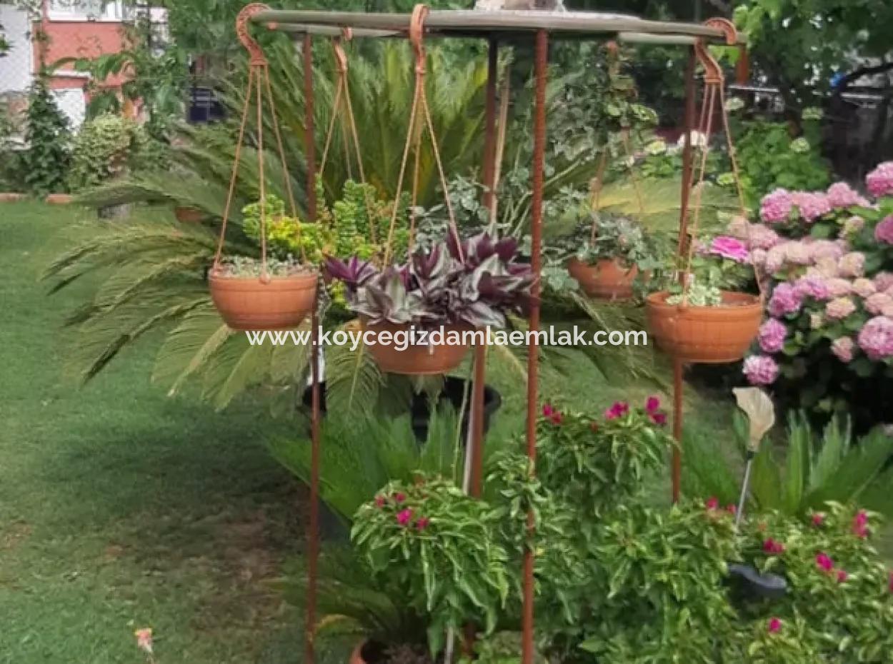 4 1 Triplex Freistehende Villa Zum Verkauf