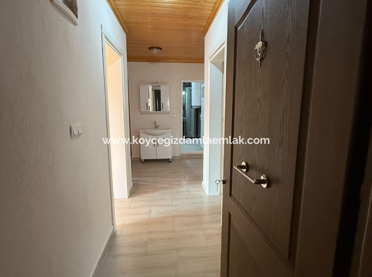 3 1 Wohnung Zu Vermieten