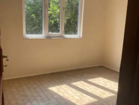 Wohnung Zu Vermieten 3 1