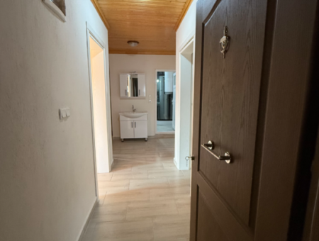 3 1 Wohnung Zu Vermieten