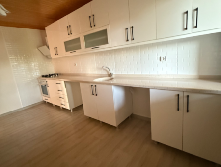 3 1 Wohnung Zu Vermieten