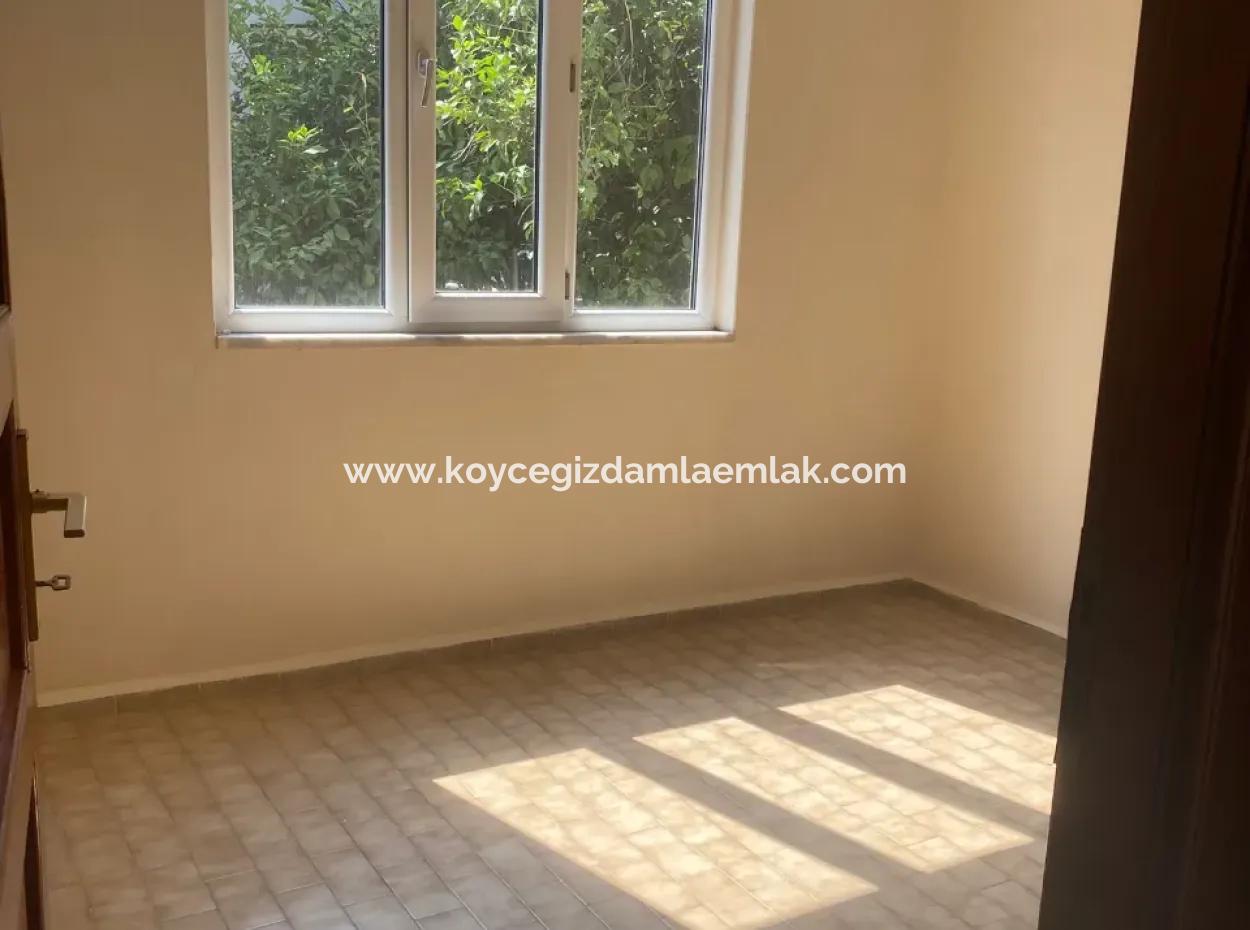 Apartment For Rent 3 1