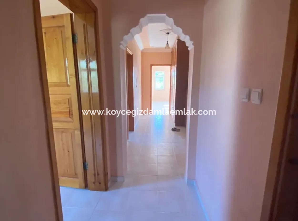 Apartment For Rent 3 1