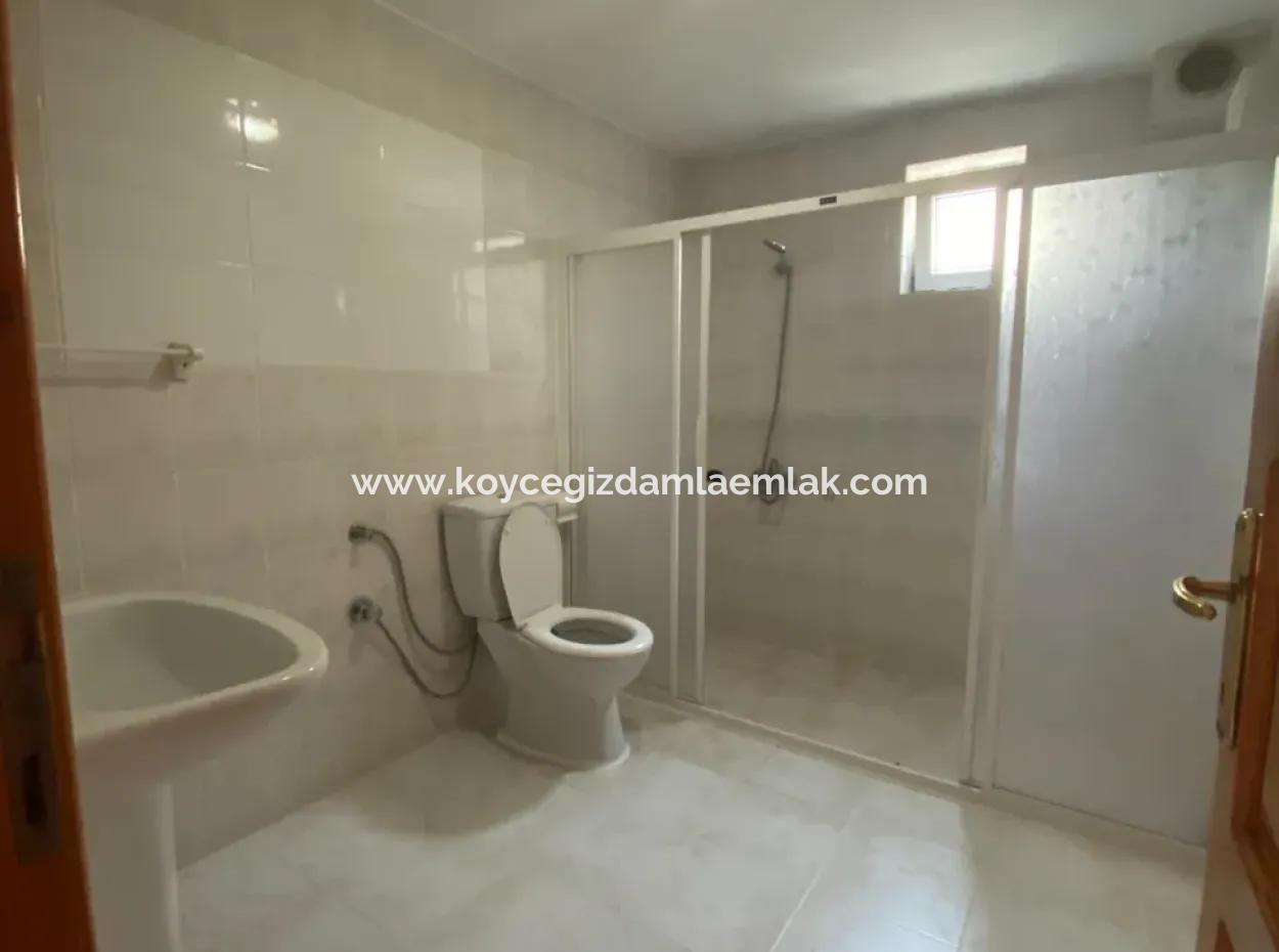 Apartment For Rent 3 1