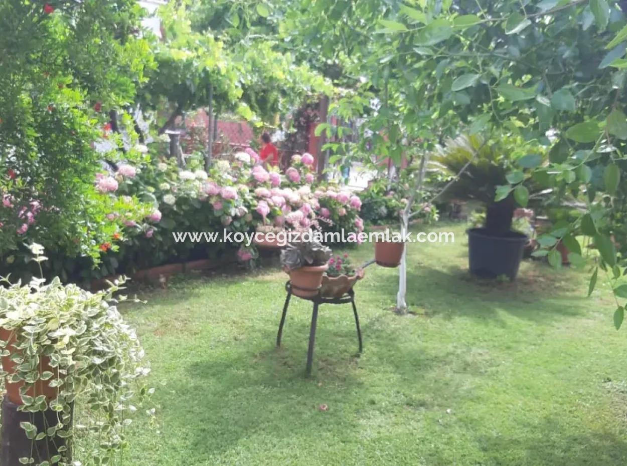 4 1 Triplex Fully Detached Villa For Sale