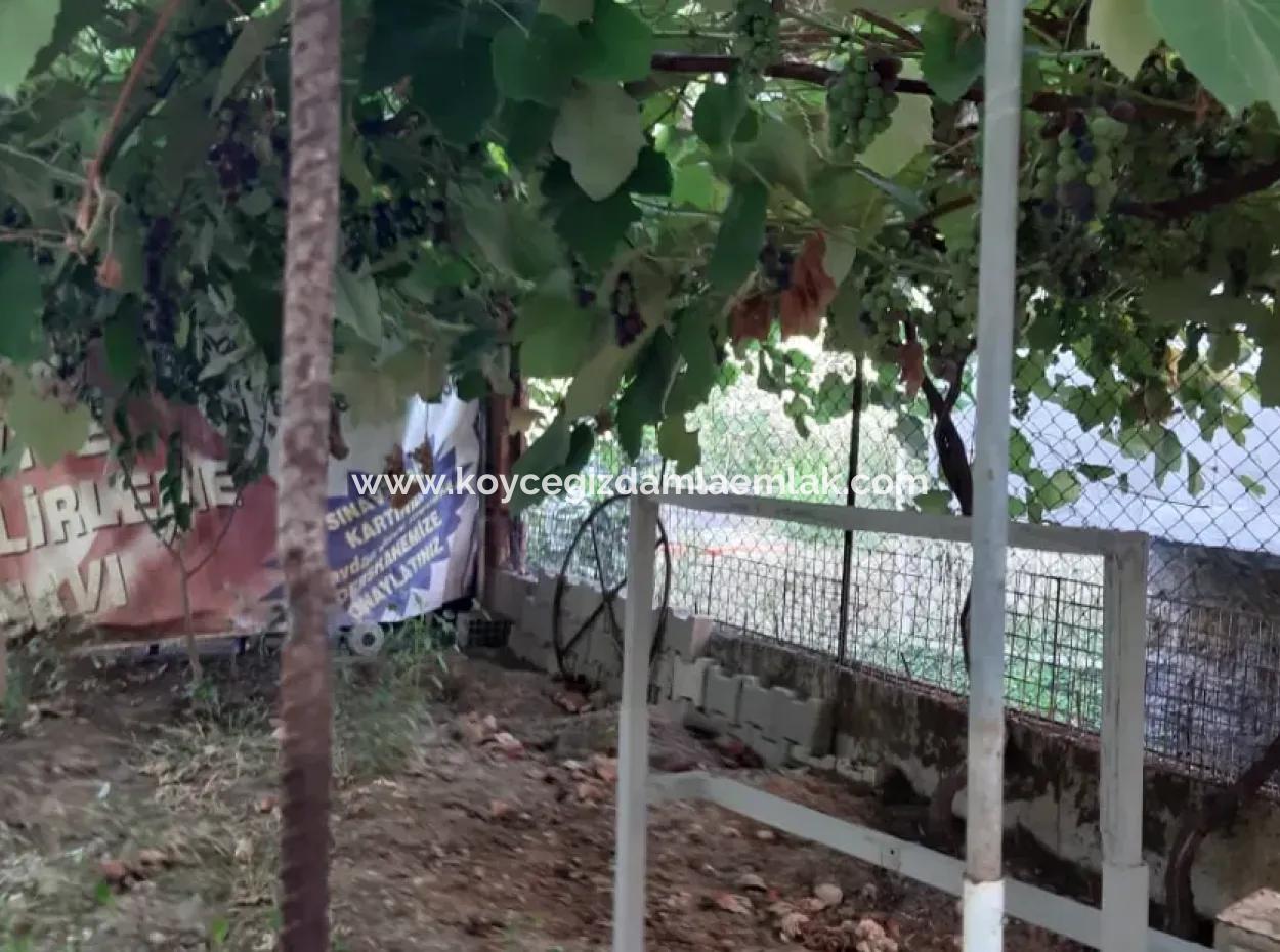 4 1 Triplex Fully Detached Villa For Sale