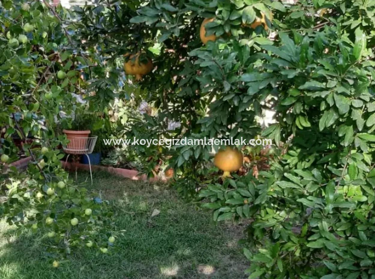 4 1 Triplex Fully Detached Villa For Sale