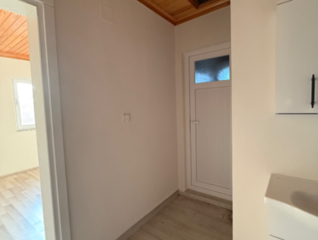 3 1 Apartment For Rent