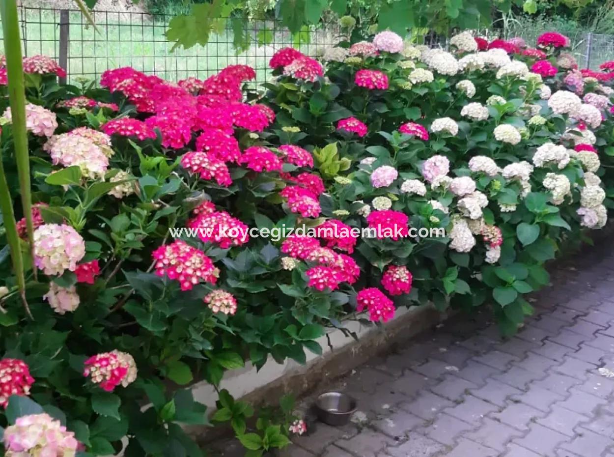 4+1 Satılık Triplex Tam Müstakil Villa