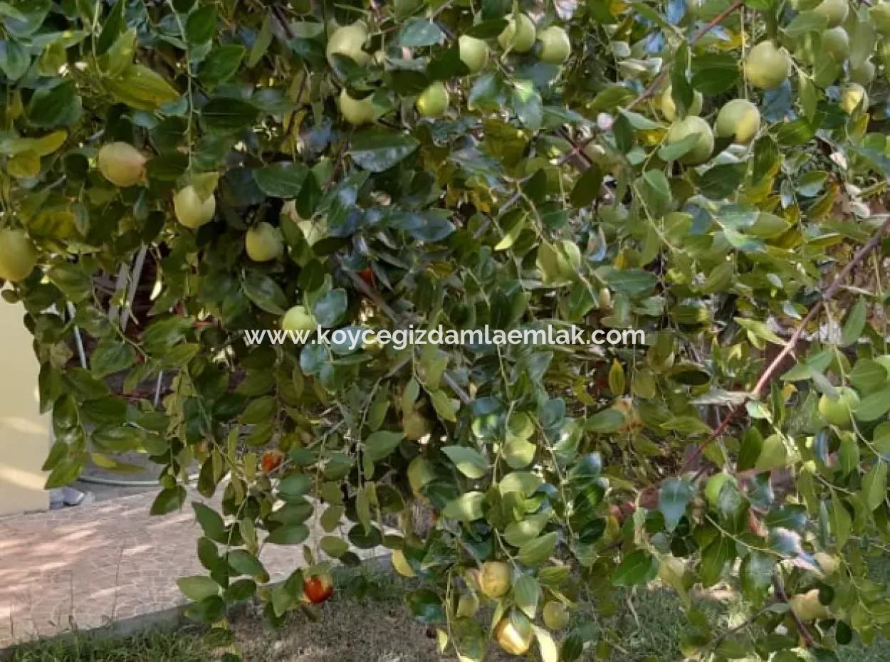 4+1 Satılık Triplex Tam Müstakil Villa