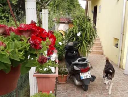 4+1 Satılık Triplex Tam Müstakil Villa
