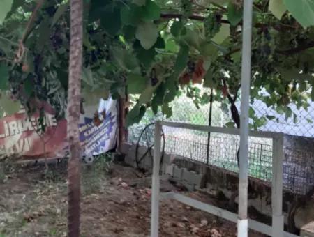 4+1 Satılık Triplex Tam Müstakil Villa